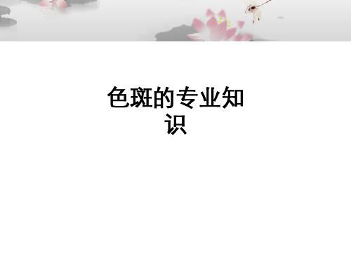 色斑的专业知识ppt课件