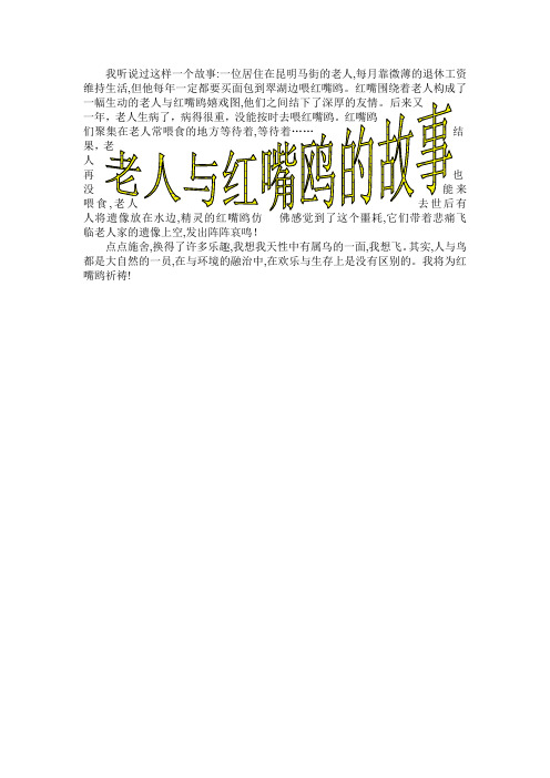 教科版四年级《老人与红嘴鸥的故事》