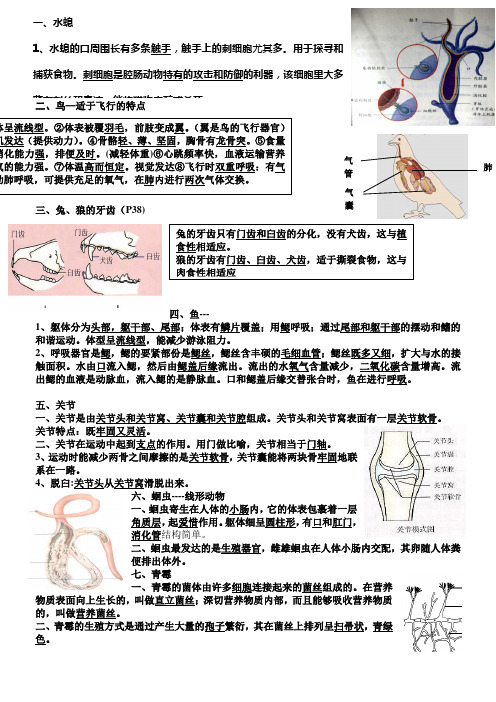 人教版生物八年级上册识图题总结