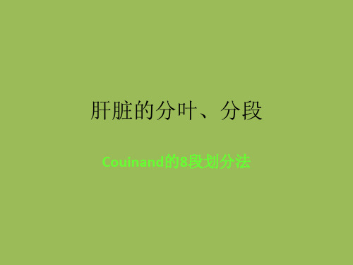肝脏的分叶、分段