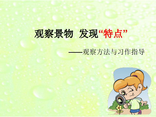 新北师大版三年级语文下册《 观察与发现  ①大自然的语言》优质课课件_9