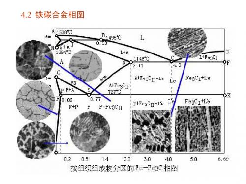 铁碳相图ppt (2)