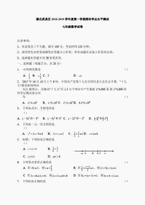 湖北武昌区2018-2019学年度第一学期期末学业水平测试