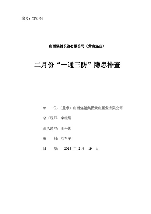 2月份隐患排查月报表2013