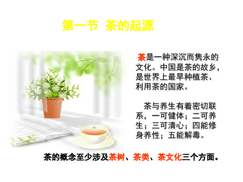 卢茶的起源