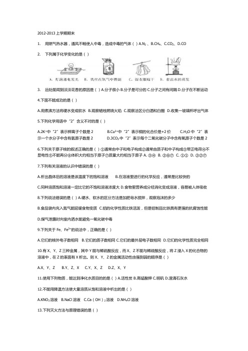 天津市武清区2012-2013上学期化学期末试卷