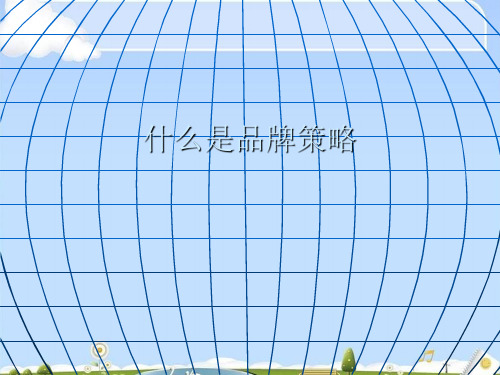 什么是品牌策略