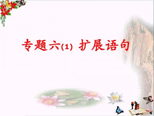 高考语音复习等专题 PPT课件 (8个)1