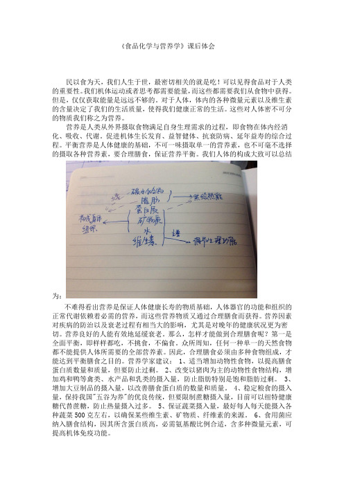 食品化学与营养学论文