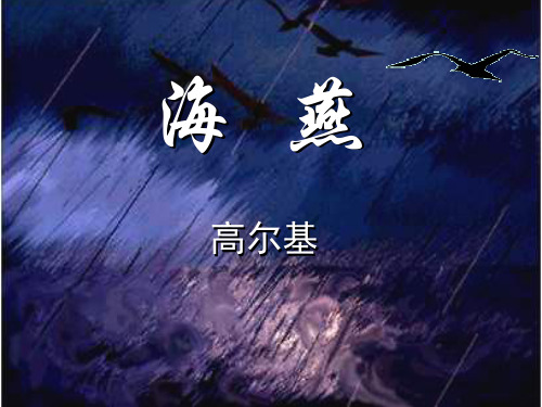八年级《海燕》ppt课件4