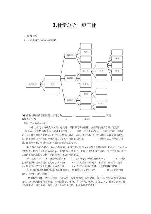 人体形态学-躯干骨、颅骨(习题)