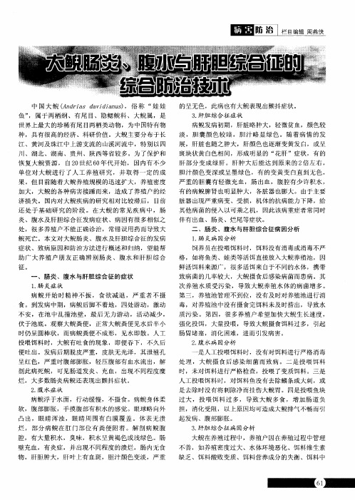 大鲵肠炎、腹水与肝胆综合征的综合防治技术