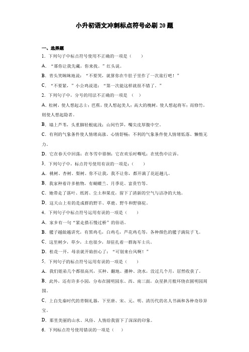 统编版六年级语文下册试题小升初语文冲刺标点符号必刷20题(含答案)