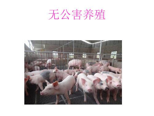 无公害养殖 Microsoft PowerPoint 演示文稿