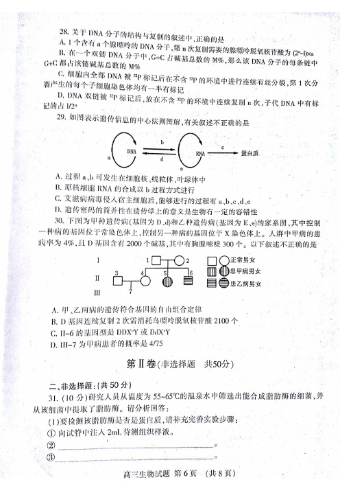 山东泰安市上学期高三期中考试生物试题图片