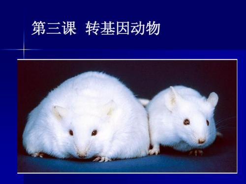 第三课 转基因动物-ljl