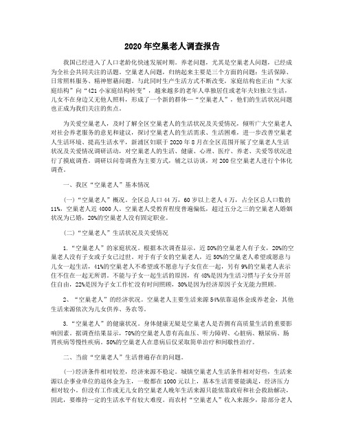 2020年空巢老人调查报告