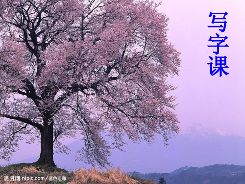 写字课《月字旁》PPT