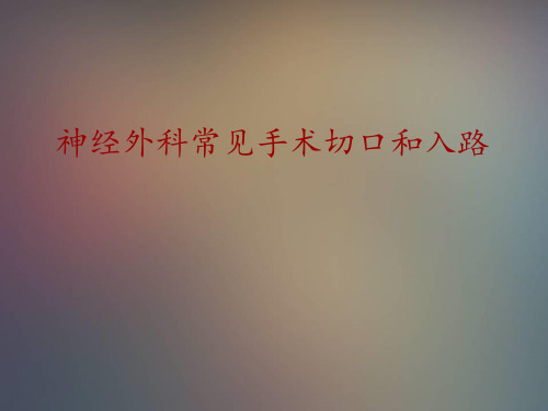 神经外科常见手术切口和入路PPT课件
