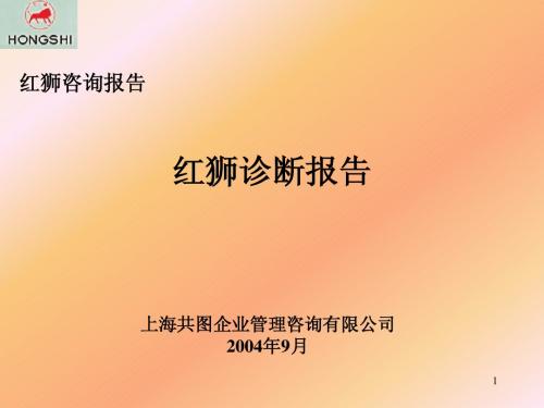 红狮咨询报告之诊断报告2-共图
