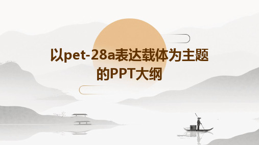 以pET-28a表达载体