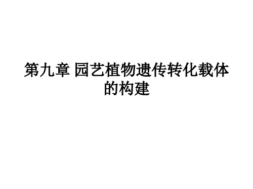 第九章 园艺植物遗传转化载体的构建