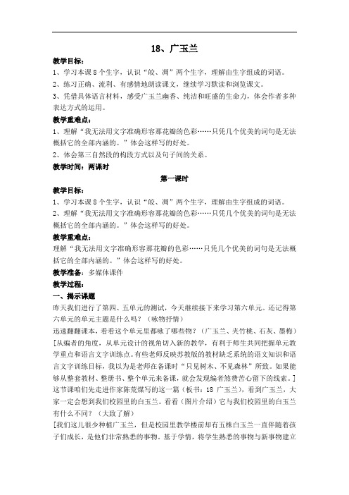 18广玉兰教案