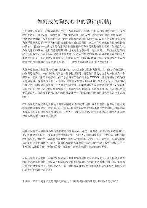 如何成为狗狗心中的领袖