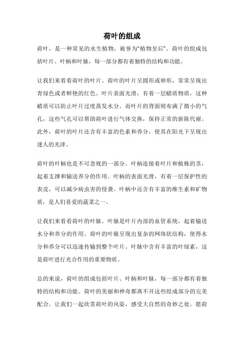 荷叶的组成