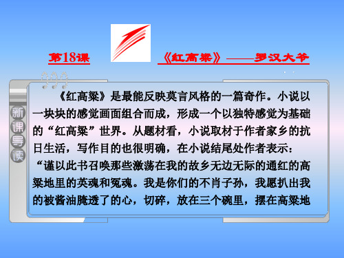 《红高粱》之罗汉大爷课件