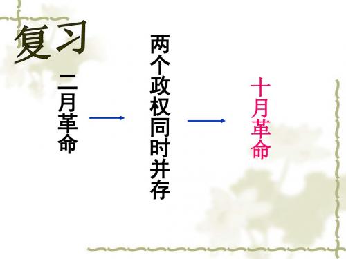 第2课对社会主义道路的探索(共61张PPT)