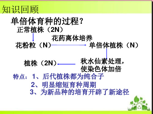 人教版高中生物选修一专题三课题2《月季的花药培养》课件(共30张PPT)