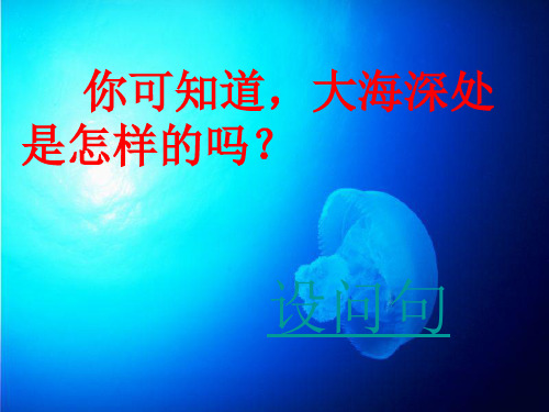 部编三年级上语文《①海底世界》倪艳PPT课件 一等奖新名师优质课获奖比赛公开北师大