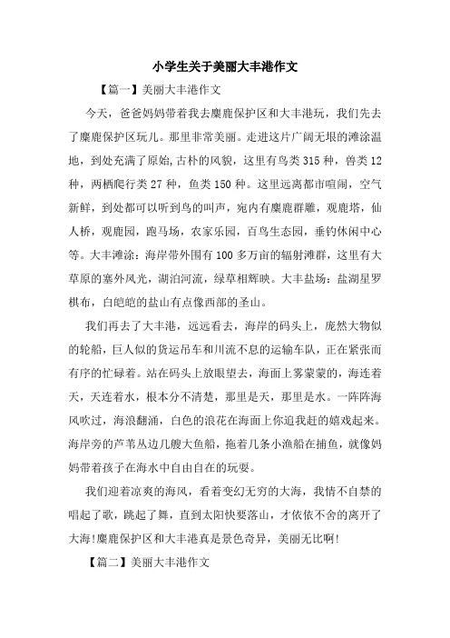 最新小学生关于美丽大丰港作文