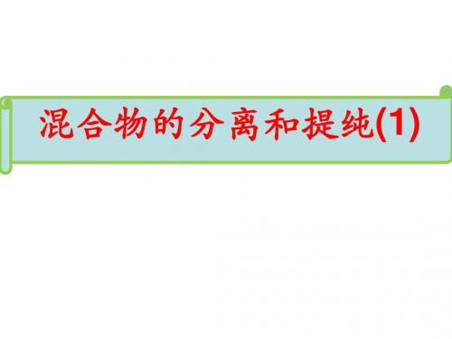 混合物的分离提纯(1)