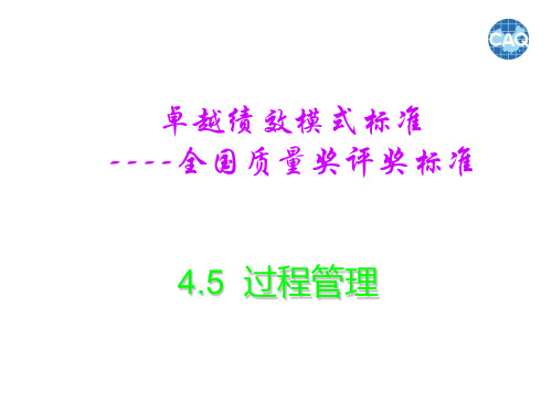 卓越绩效过程管理