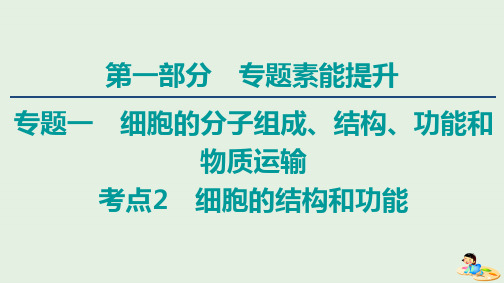 2020版高考生物二轮复习第1部分专题1细胞的分子组成、结构、功能和物质运输考点2细胞的结构和功能课件