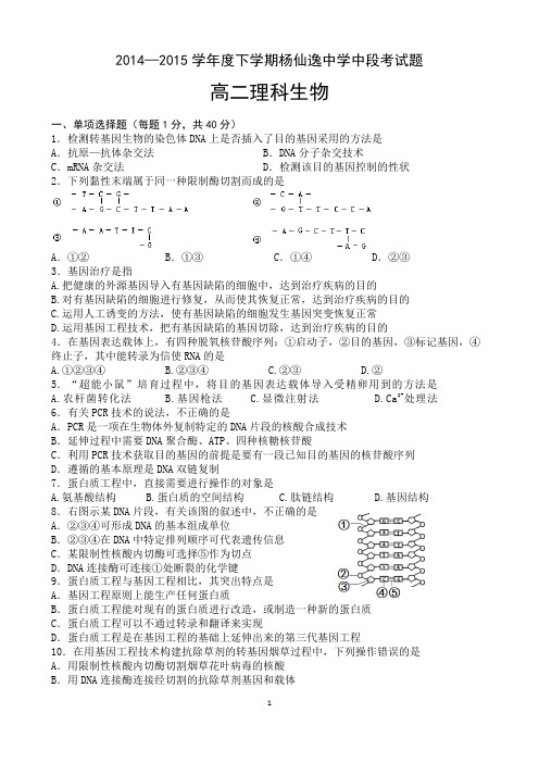 广东省中山市杨仙逸中学2014-2015学年高二下学期期中考试生物(理科)试题word版 含答案