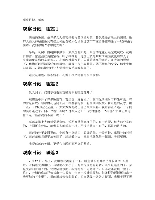 观察日记：睡莲