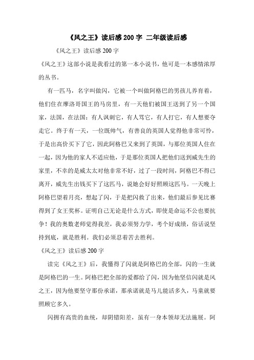 《风之王》读后感200字 二年级读后感