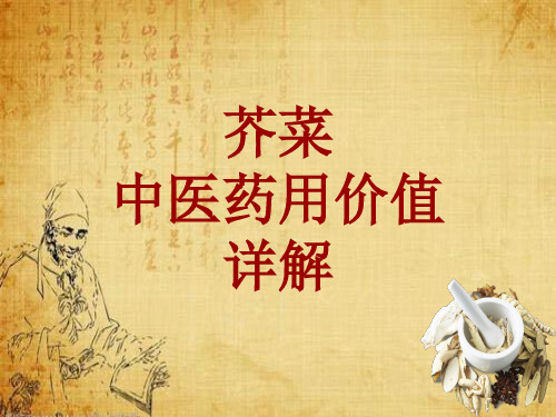 中药学_芥菜_药材详解课件模板