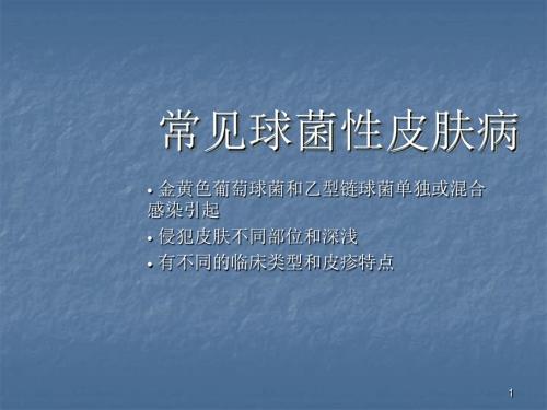 球菌性皮肤病