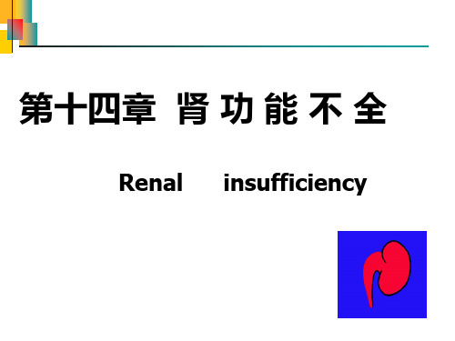 第十四章肾功能不全