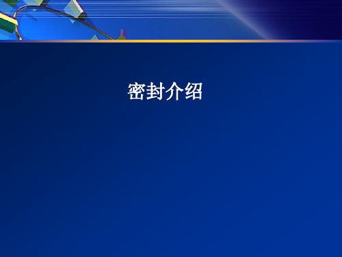密封.ppt