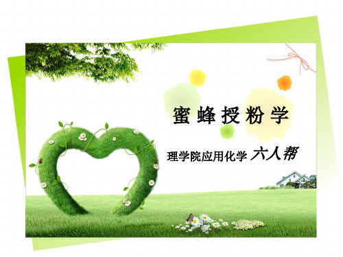 蜜蜂授粉PPT