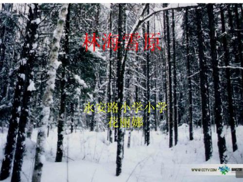 五年级品社下册《林海雪原》课件