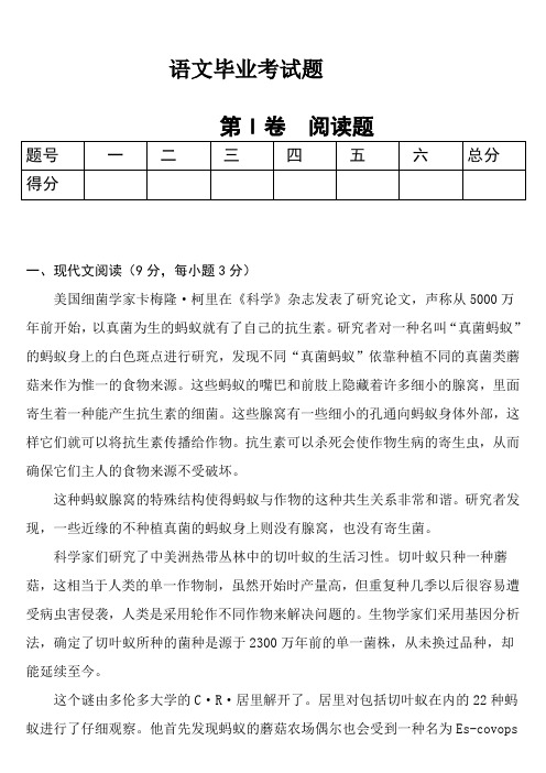 2010年广西省梧州市中考《语文》试题及答案