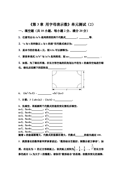 第3章 用字母表示数 含答案