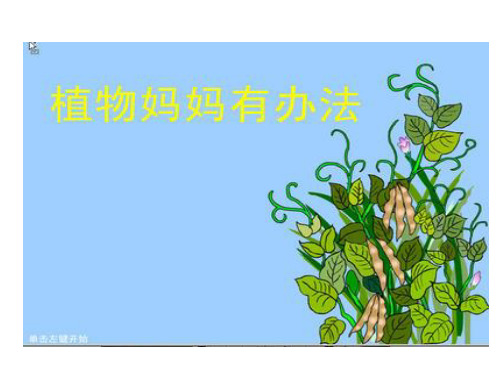 二年级上册语文课件-3、植物妈妈有办法｜人教部编版