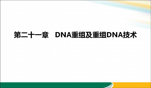 DNA重组及重组DNA技术